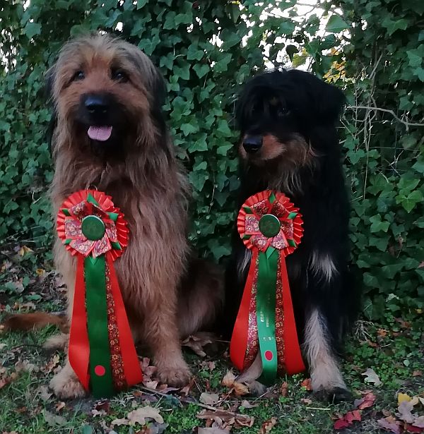 Bjelle und Cara